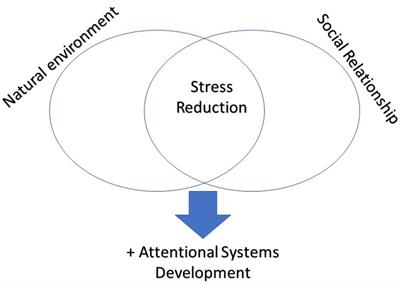 Natural Environment and Social Relationship in the Development of Attentional Network